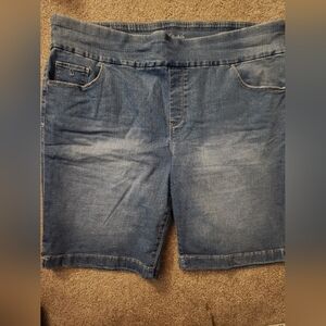 Gloria Vanderbilt Light Blue Jean Shorts Size 20W